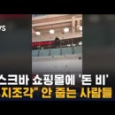 돈비가 이미지