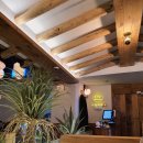 인쌩맥주 영남대점 이미지