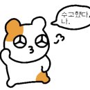 낙안청과 이미지