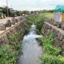 한림여관 이미지