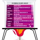 (주)엘지약품 이미지