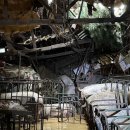 덕암농장 이미지