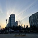 누루세미 네이버블로그