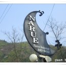 화심장어 이미지