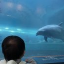 고래당구장 이미지