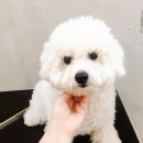 뭉치쌀롱 이미지