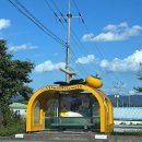 STAY HARUM 이미지