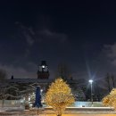 11500-7-35-16 | 서울대병원 본원 쌍둥이 35주 제왕절개 후기 (김지회 교수님, 김소희 교수님)