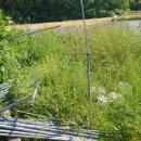 풀천지농장 이미지