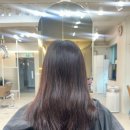 장자호수공원2 | 구리미용실 에이바헤어 장자호수공원역점 이용후기