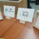 HCN경북방송