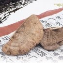 영지메디컬 이미지