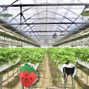 재인 농장 이미지