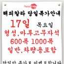 한양쏠라