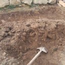 숲속 게르 하우스 이미지