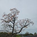 풍기면옥 이미지