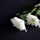 서울장례식장 이미지