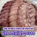 1년을 기다렸다 겨울 대방어 성지 이미지