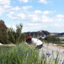 느므즈므 이미지