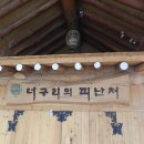 너구리의 피난처 이미지