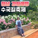 강진4 - 1324 | 전남 강진 수국명소 강진 수국길축제 물놀이 주차장 방문후기