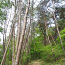 협성농장 이미지