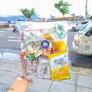 자유 | 베트남 다낭 가족여행 숙소 경비 자유여행 패키지 후기