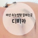 디피카 | 아산 용화동 속눈썹펌 후기 | 디피카에서 또렷한 컬 완성