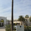 서부카인테리어 | LA 신혼여행 베버리힐즈 EREWHON 주차 헤일리비버스무디 후기 에레혼 기념품 추천