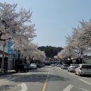 금산고려인삼도매 이미지