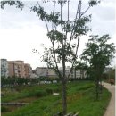 중등수학지도사2급(자격증) 이미지