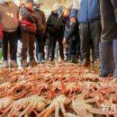 울진대게 이미지