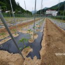 대연농장 이미지