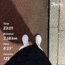 그레이스K2차 | 2023 안녕하묘 🐰
