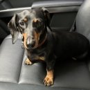 한남축산 이미지