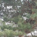 오금역 2번출구 이미지