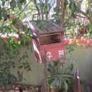 내리저수지 이미지