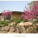아산황토펜션 이미지