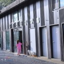 백운장뇌삼관광농원 이미지