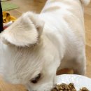 차롱네 멍밥상 이미지