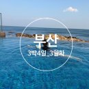 지수농원 | 4일 여행_3일차 이재모 피자 해동용궁사 아난티 앳 부산 코브 워터하우스 이용 아난티 근처 맛집 지수 농원