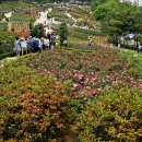도당공원 이미지