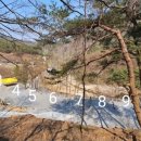 별그리다캠핑장 네이버블로그