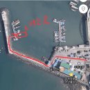 무창포수지배낚시 | 무창포배낚시 포인트 피싱 문어탐사 후기