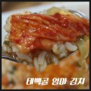 (주)태백골