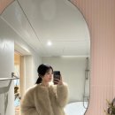 수수가옥 | [전남/곡성] 크리스마스 애견동반 여행 독채 펜션 추천ㅣ수수가옥 (susu stay)