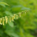 하천리-12 이미지