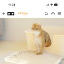 집사들아 고양이 모래 매트 이거 써봄?? 이미지