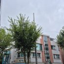 일동예일어린이집 이미지