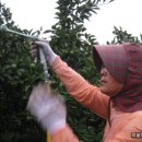 주신농장 이미지